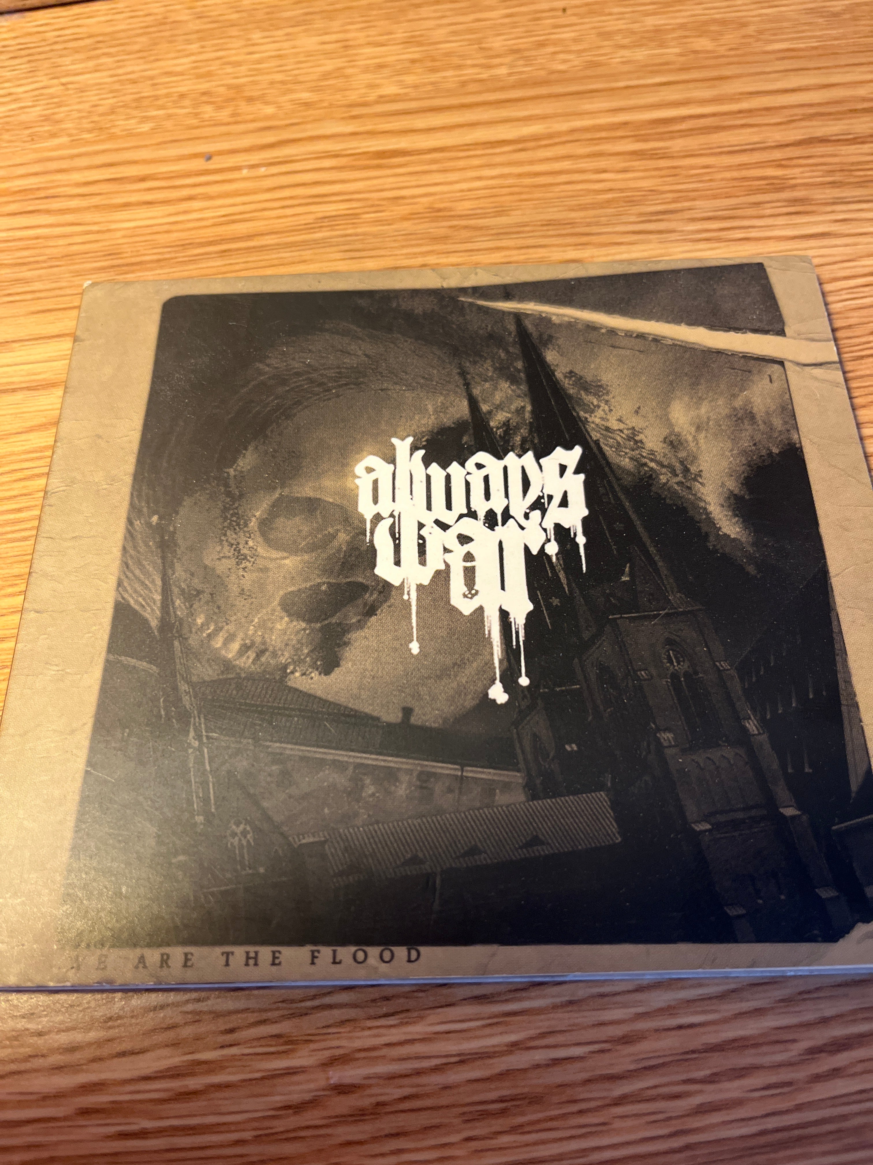 Always War - We Are The Flood (NM/NM)