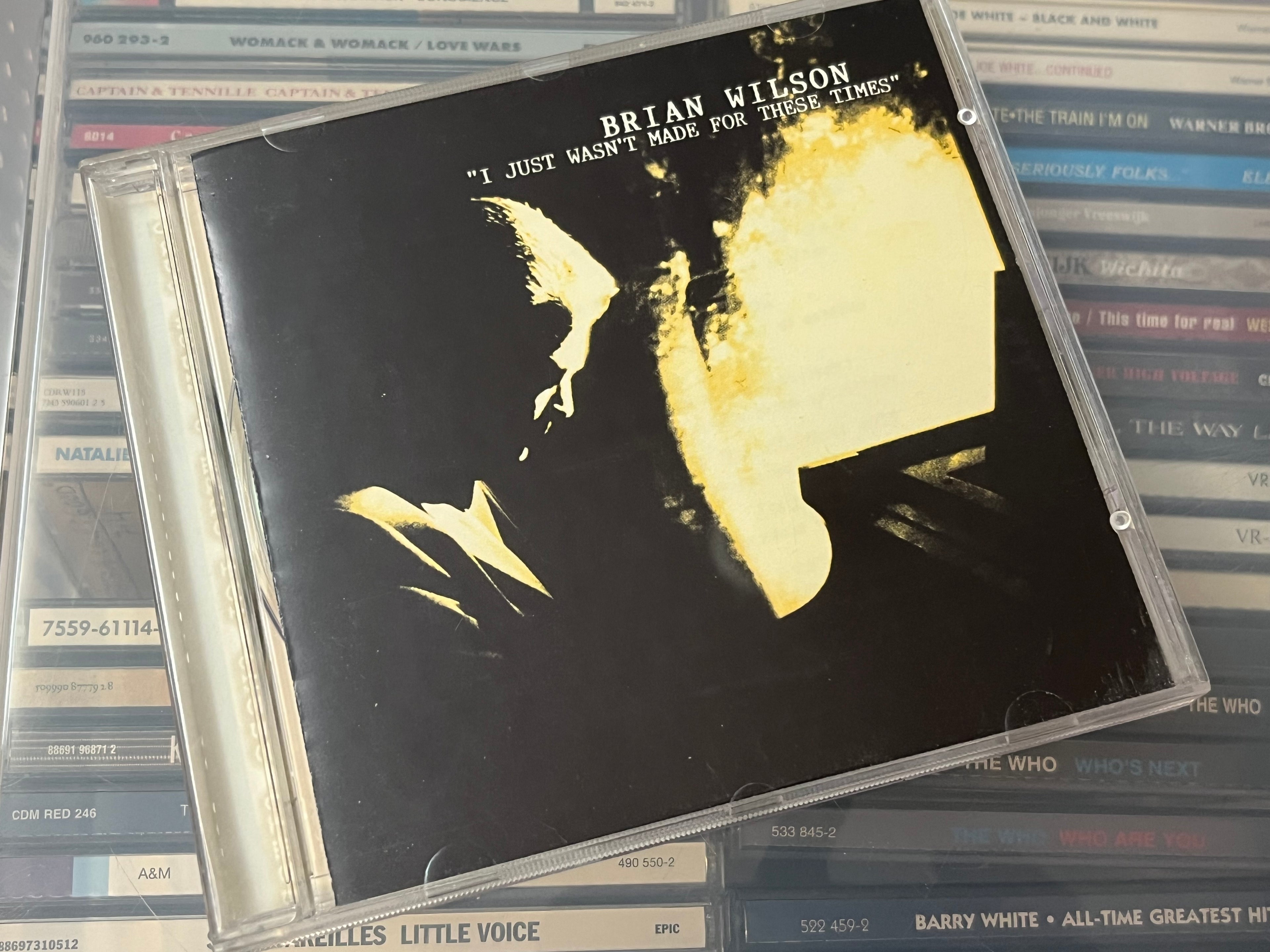 Brian Wilson ‎– I Just Wasn't Made For These Times (NM/NM)