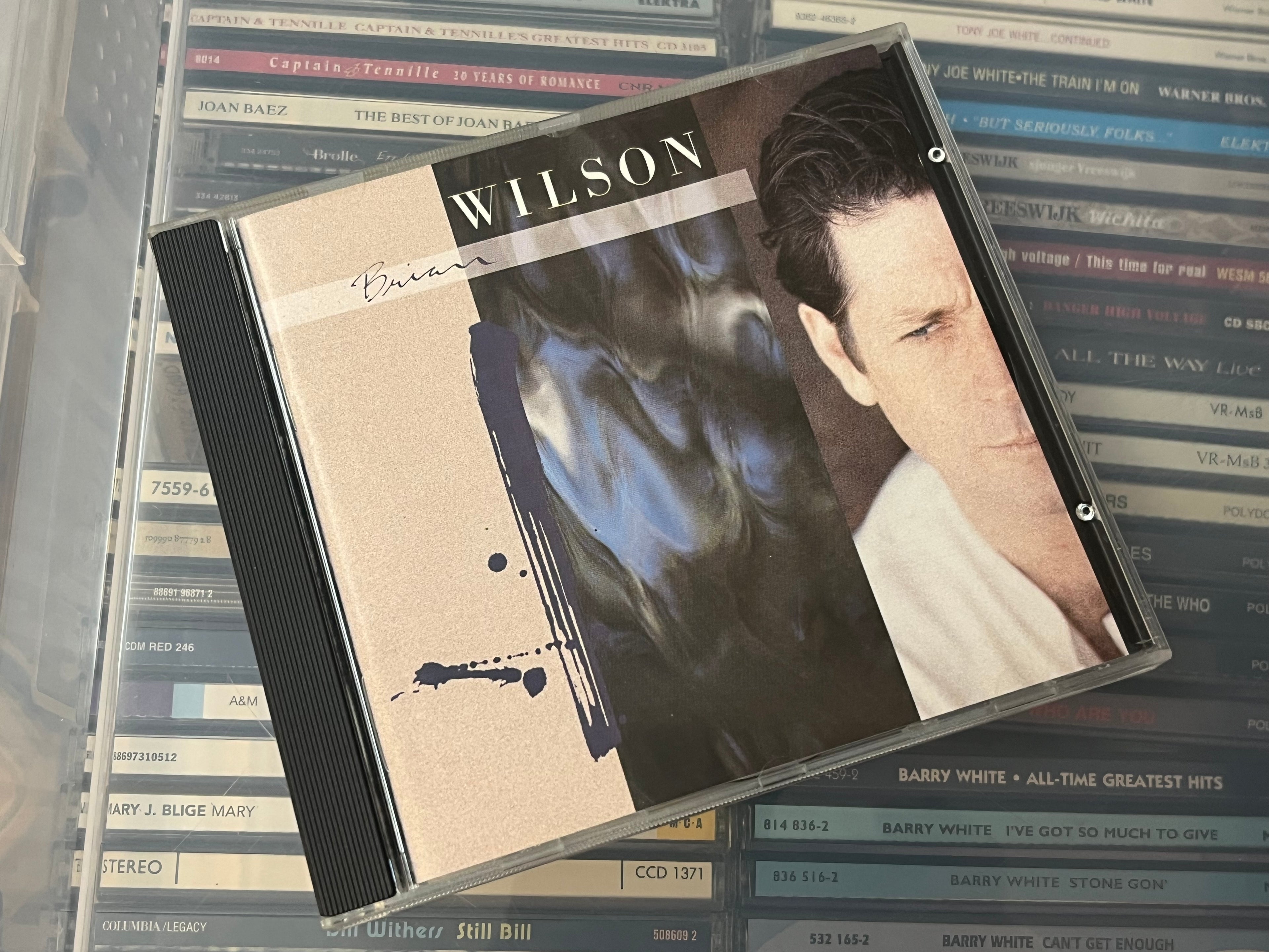 Brian Wilson ‎– Brian Wilson (NM/NM)