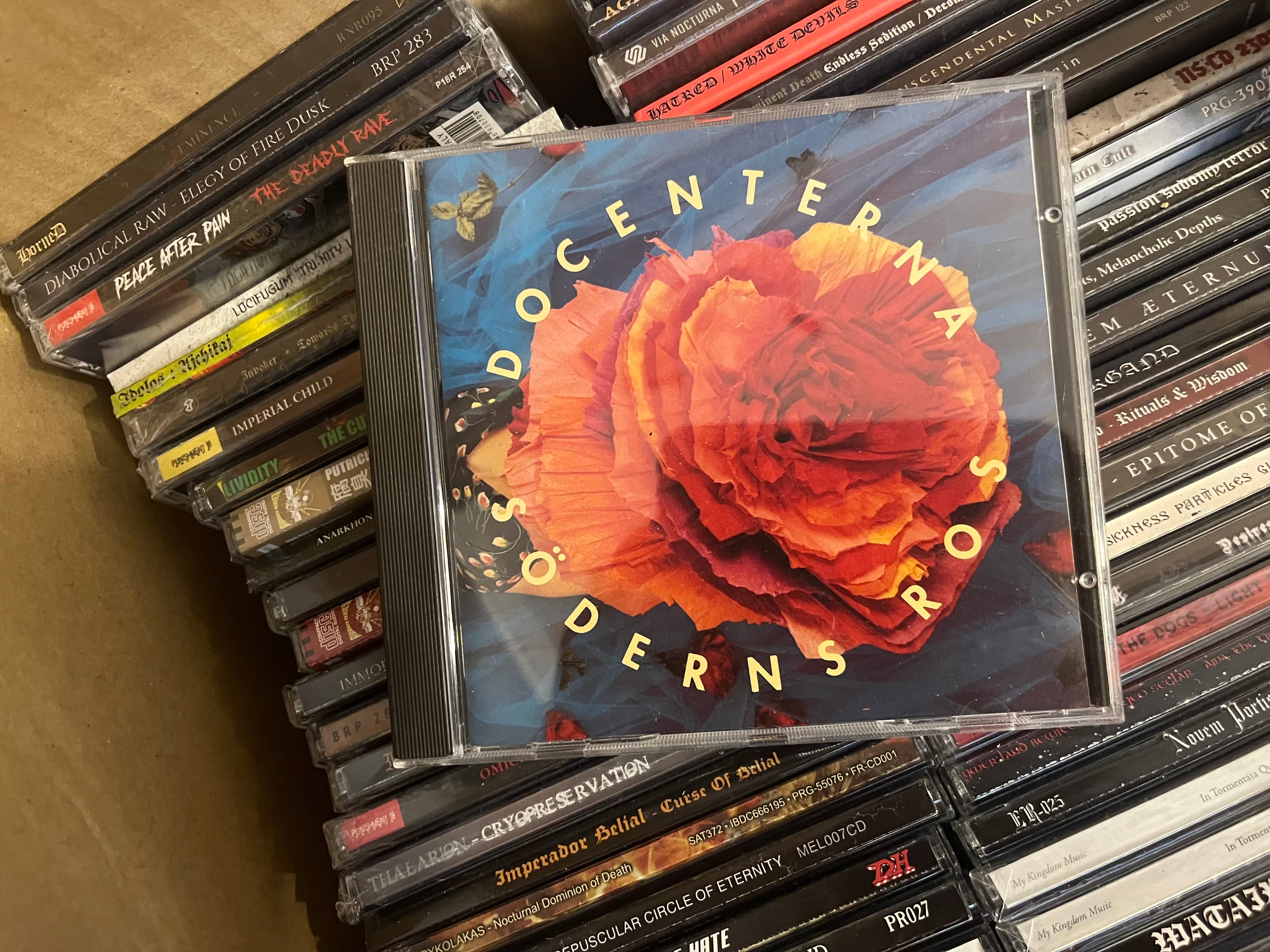 Docenterna – Söderns Ros (NM/NM)
