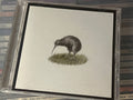 El Oso – Whichever Chapter Covers Now (NM/NM) US-05