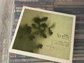 The Frames – The Cost (NM/vg+)