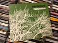 My Orchard – Silhouettes (NM/NM)