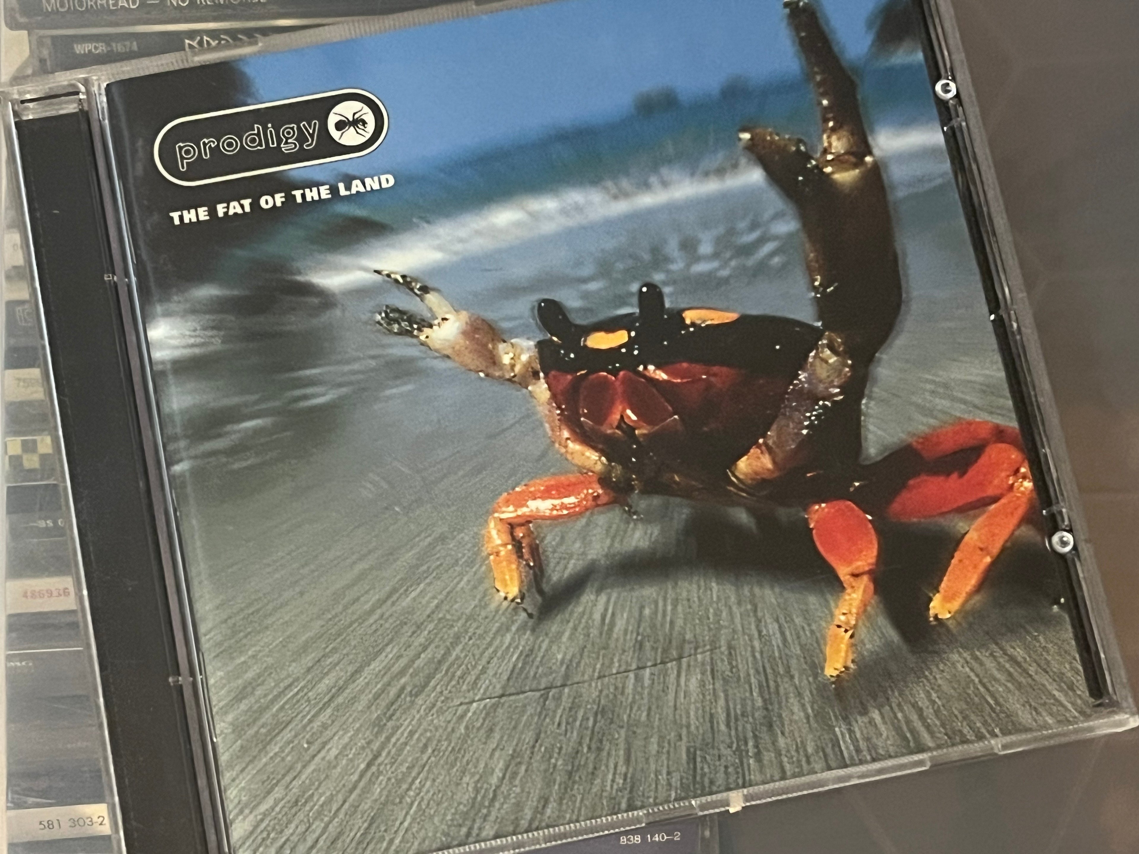 Prodigy - The Fat Of The Land (vg+/vg+)