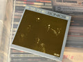 The Sonics – Here Are The Sonics!!! (NM/NM) EU-07
