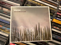 Starlet – When Sun Falls On My Feet (NM/NM)