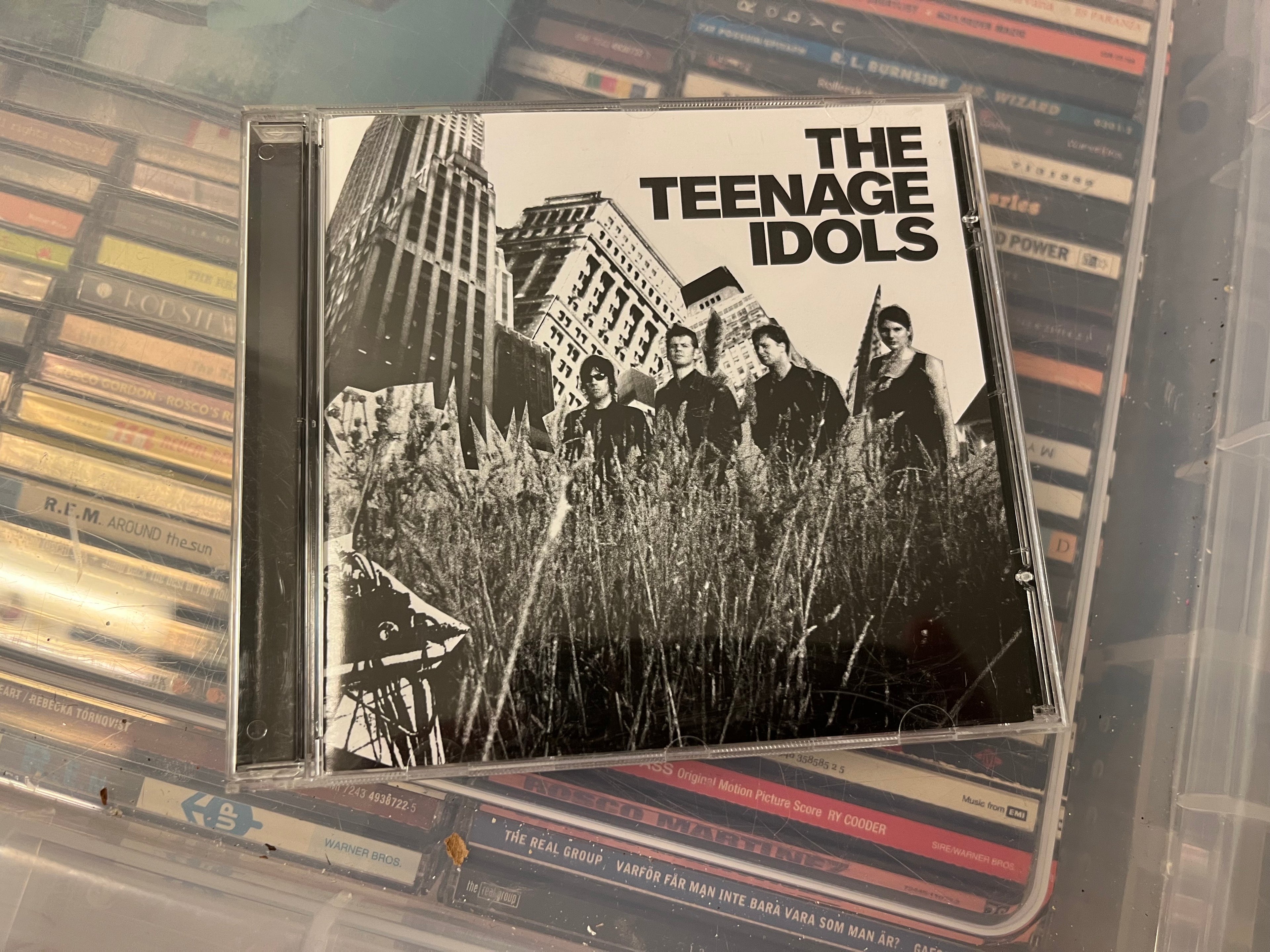 The Teenage Idols – The Teenage Idols (NM/NM)