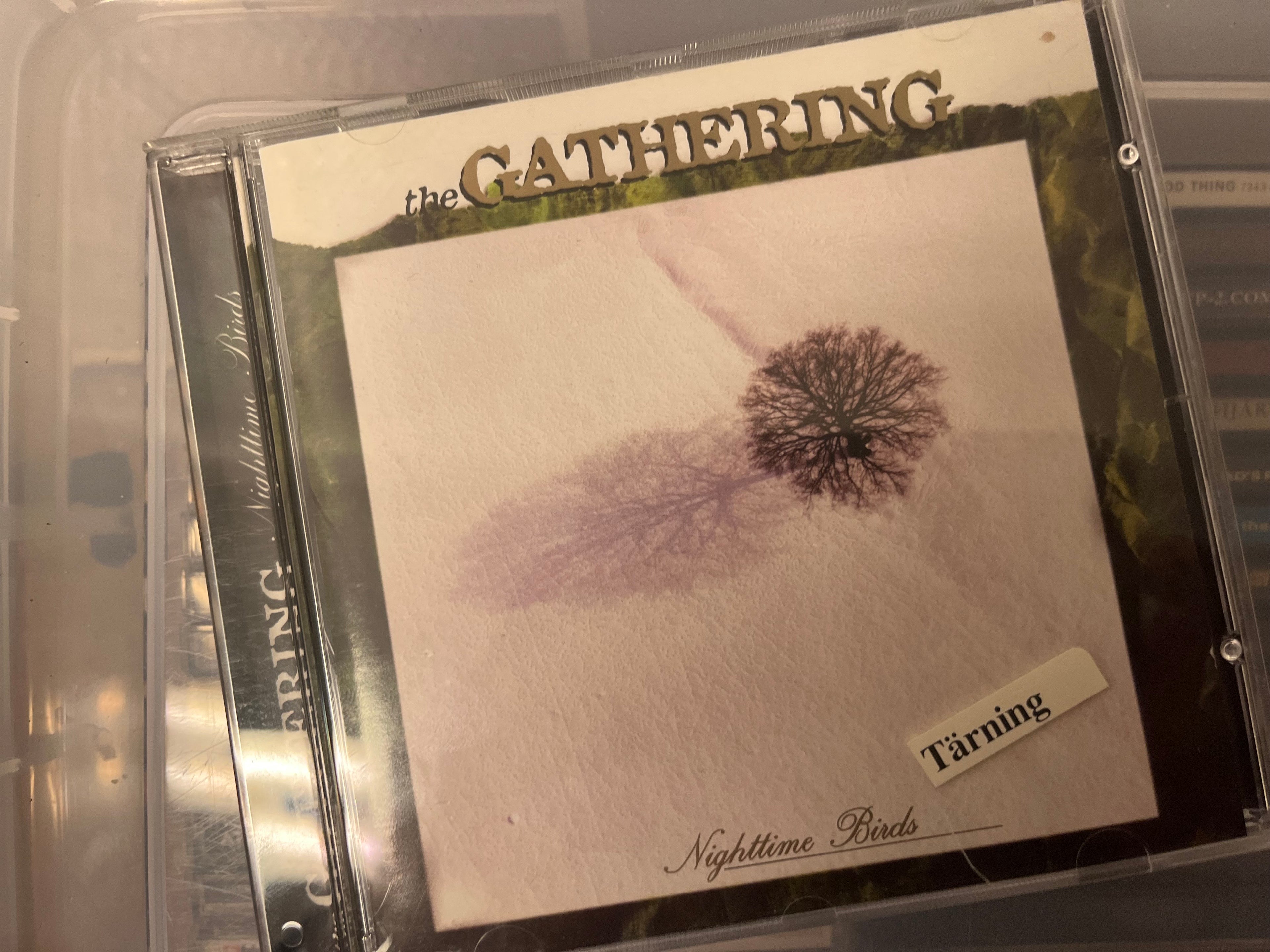The Gathering – Nighttime Birds (NM/NM)