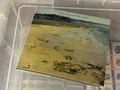 Tomas Andersson Wij ‎– Spår (NM/NM) CD+DVD-version